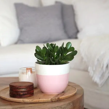 Istmo - Quiet, Cosy With Panorama Sunset Daire