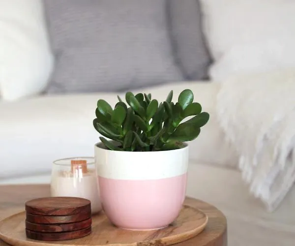 Istmo - Quiet, Cosy With Panorama Sunset דירה